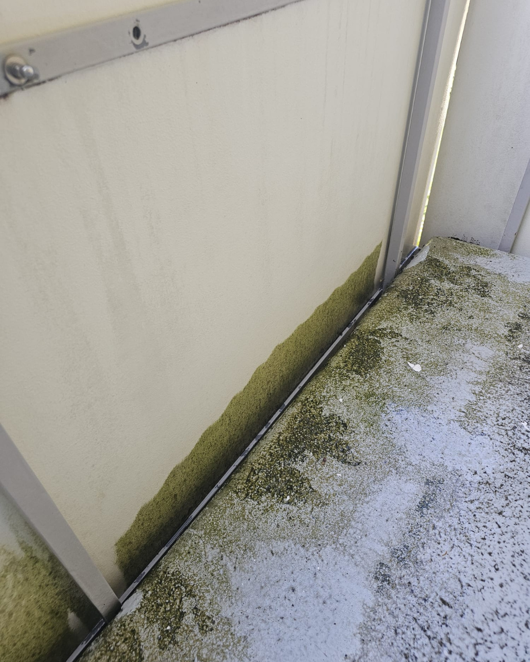 Hochdruckreinigung im Aargau – gründliche, schonende und umweltfreundliche Reinigung von Fassaden, Terrassen, Wegen und Mauern